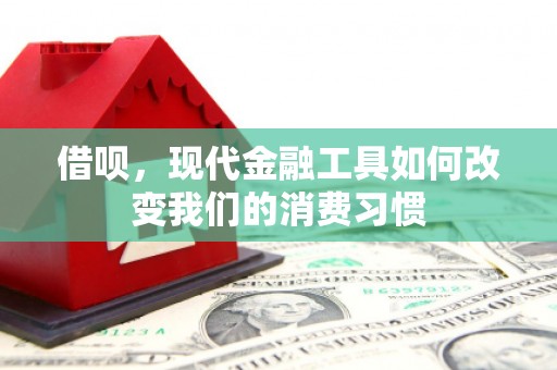 舞钢借呗，现代金融工具如何改变我们的消费习惯
