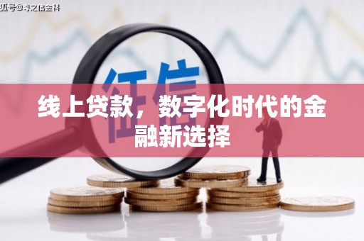 舞钢线上贷款，数字化时代的金融新选择