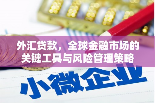 舞钢外汇贷款，全球金融市场的关键工具与风险管理策略