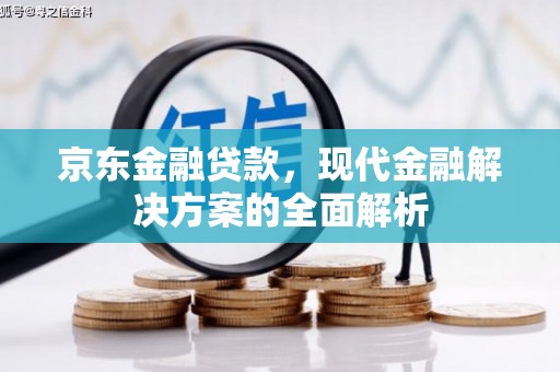 舞钢京东金融贷款，现代金融解决方案的全面解析