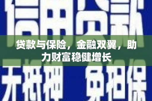 舞钢贷款与保险，金融双翼，助力财富稳健增长