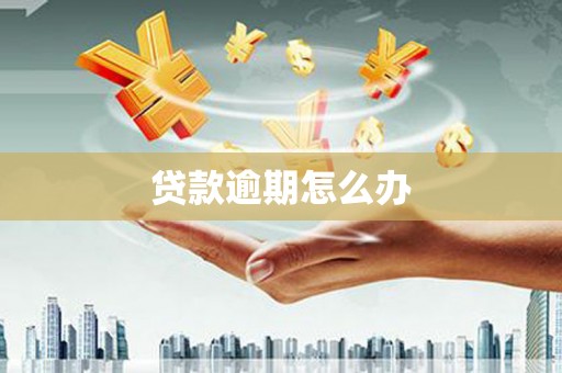 舞钢贷款逾期怎么办