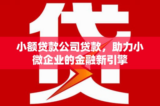 舞钢小额贷款公司贷款，助力小微企业的金融新引擎