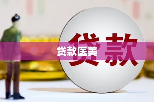 舞钢贷款医美