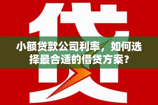 舞钢小额贷款公司利率，如何选择最合适的借贷方案？