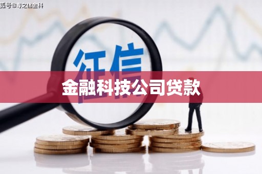 舞钢金融科技公司贷款