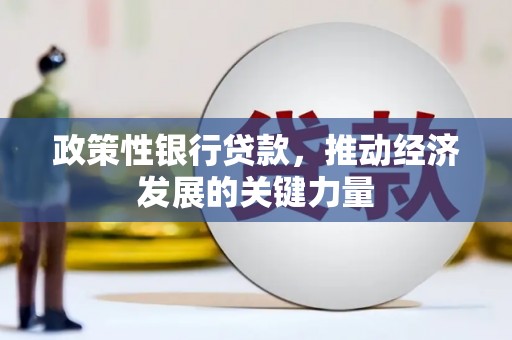舞钢政策性银行贷款，推动经济发展的关键力量