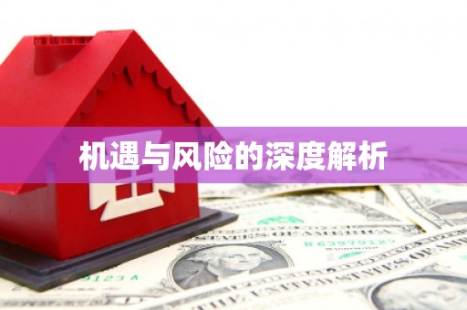 舞钢机遇与风险的深度解析