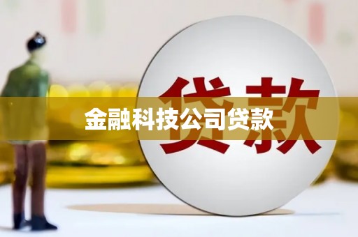 舞钢金融科技公司贷款