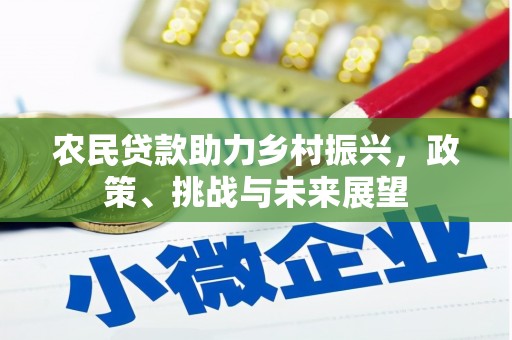舞钢农民贷款助力乡村振兴，政策、挑战与未来展望