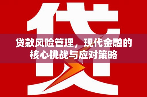 舞钢贷款风险管理，现代金融的核心挑战与应对策略