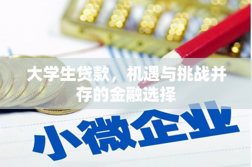 舞钢大学生贷款，机遇与挑战并存的金融选择
