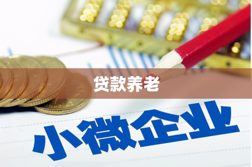 舞钢贷款养老