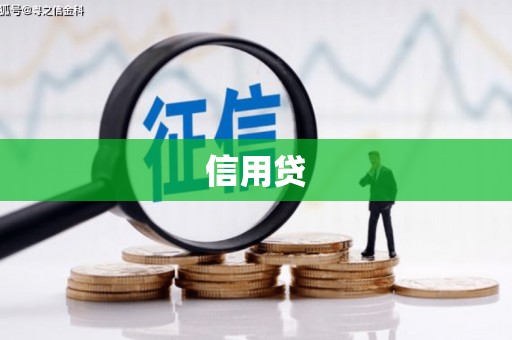 舞钢信用贷