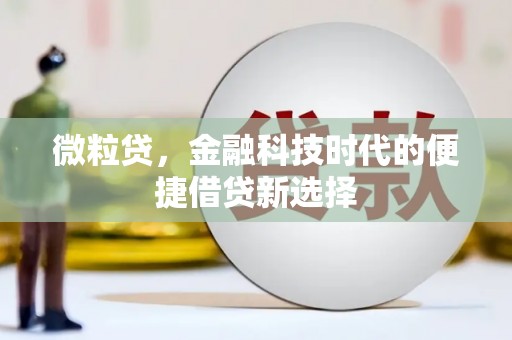 舞钢微粒贷，金融科技时代的便捷借贷新选择