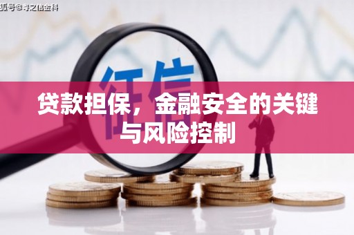 舞钢贷款担保，金融安全的关键与风险控制