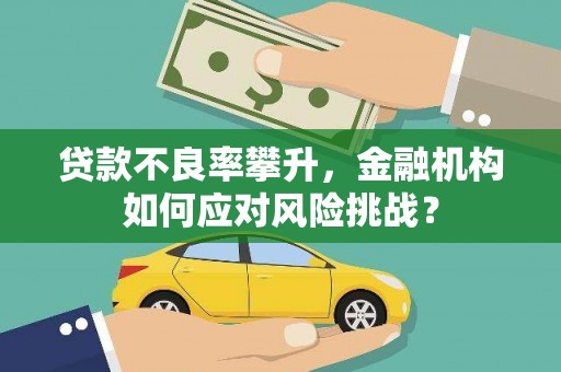 舞钢贷款不良率攀升，金融机构如何应对风险挑战？