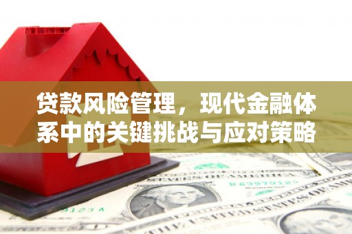 舞钢贷款风险管理，现代金融体系中的关键挑战与应对策略