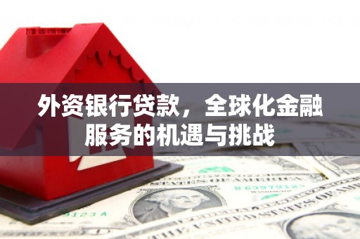 舞钢外资银行贷款，全球化金融服务的机遇与挑战