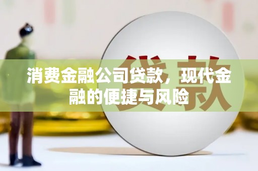 舞钢消费金融公司贷款，现代金融的便捷与风险