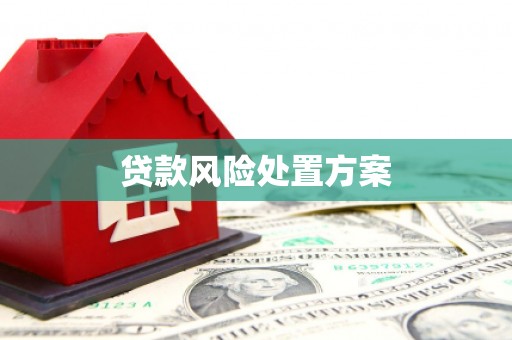 舞钢贷款风险处置方案