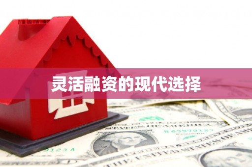 舞钢灵活融资的现代选择