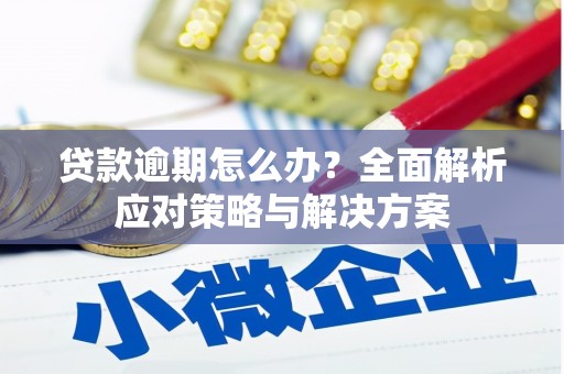 舞钢贷款逾期怎么办？全面解析应对策略与解决方案