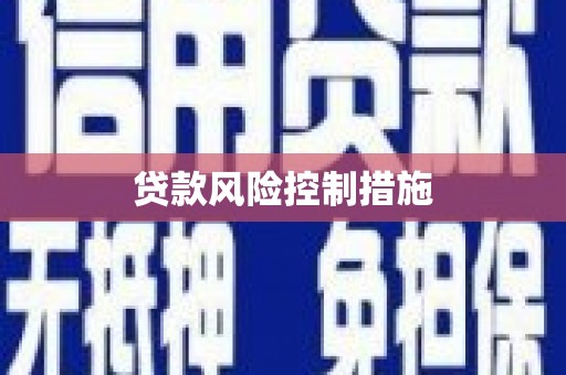 舞钢贷款风险控制措施