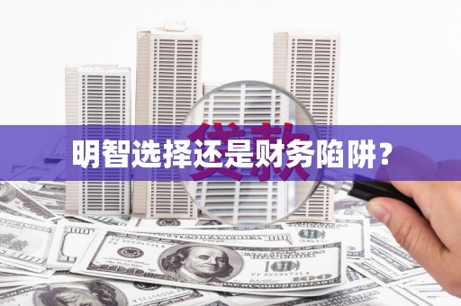 舞钢明智选择还是财务陷阱？