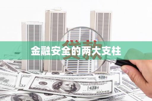 舞钢金融安全的两大支柱