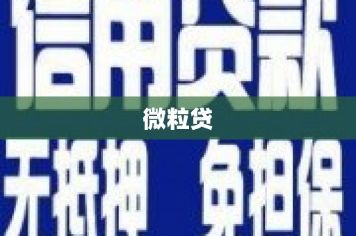 舞钢微粒贷