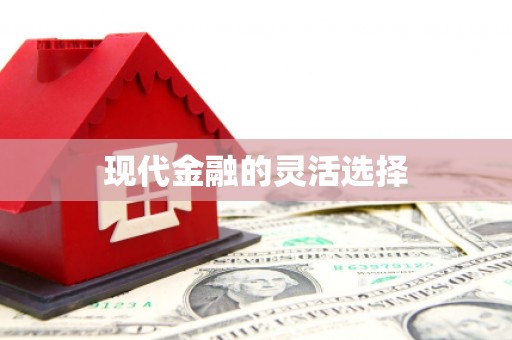 舞钢现代金融的灵活选择