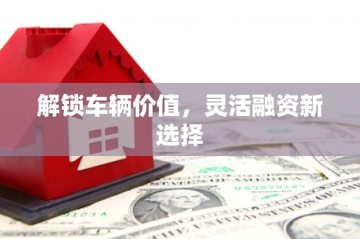舞钢解锁车辆价值，灵活融资新选择