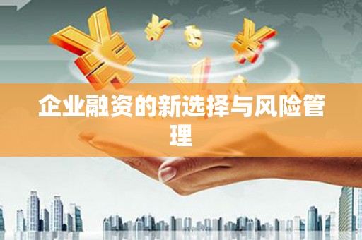 舞钢企业融资的新选择与风险管理