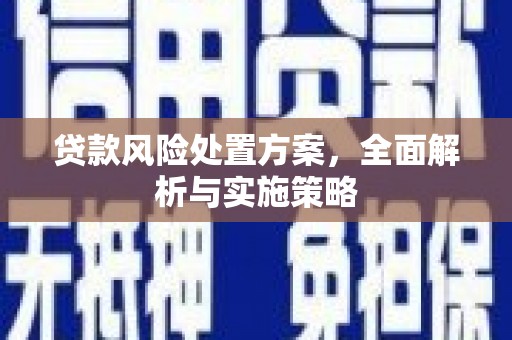 舞钢贷款风险处置方案，全面解析与实施策略