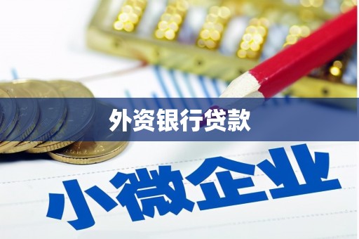 舞钢外资银行贷款