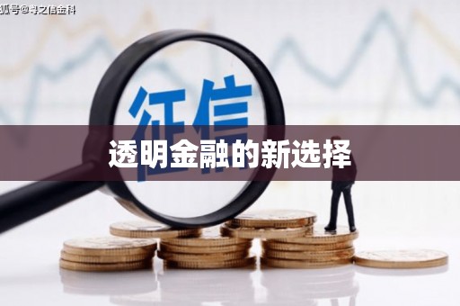 舞钢透明金融的新选择