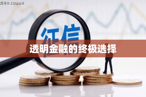 舞钢透明金融的终极选择