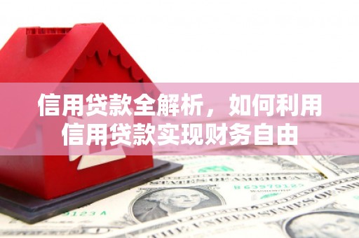 舞钢信用贷款全解析，如何利用信用贷款实现财务自由