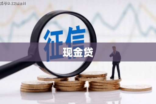 舞钢现金贷