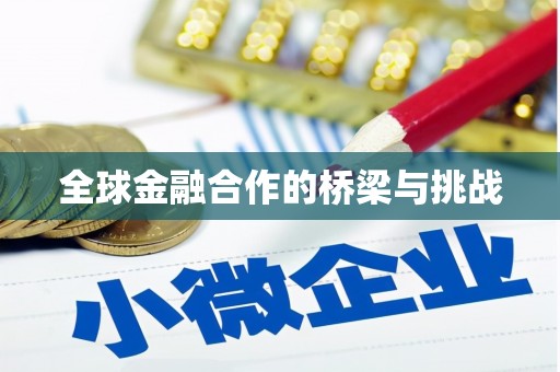 舞钢全球金融合作的桥梁与挑战
