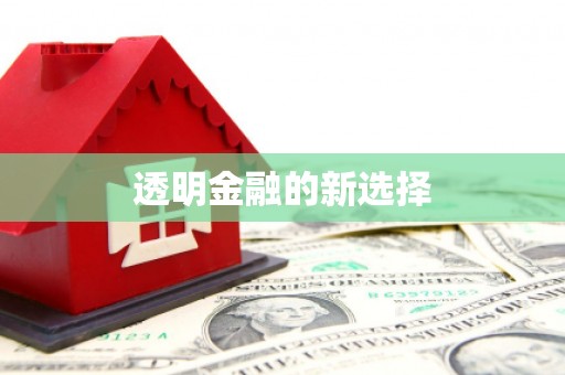 舞钢透明金融的新选择