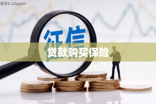 舞钢贷款购买保险