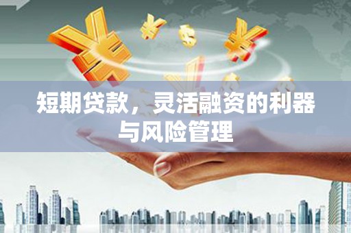 舞钢短期贷款，灵活融资的利器与风险管理