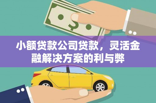 舞钢小额贷款公司贷款，灵活金融解决方案的利与弊