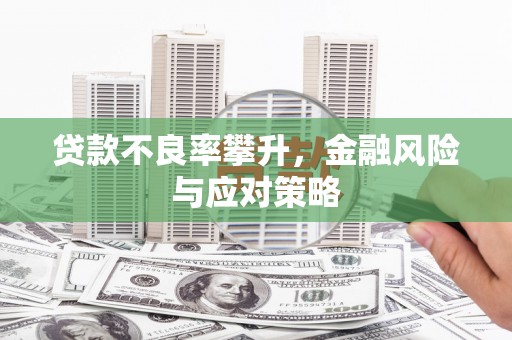 舞钢贷款不良率攀升，金融风险与应对策略