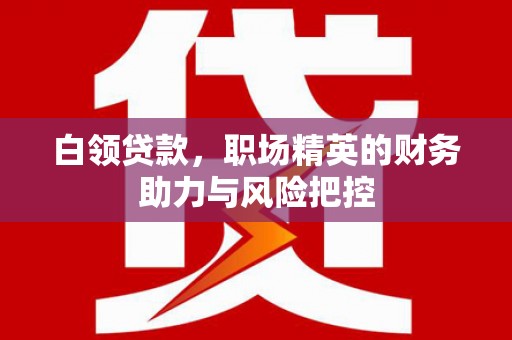 舞钢白领贷款，职场精英的财务助力与风险把控