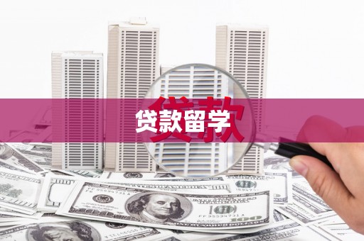 舞钢贷款留学