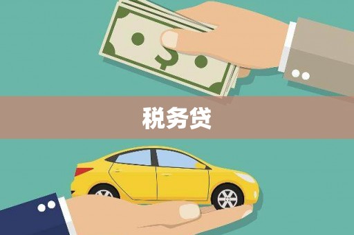 舞钢税务贷