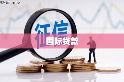 舞钢国际贷款